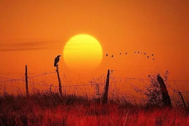 中庭人的一天！