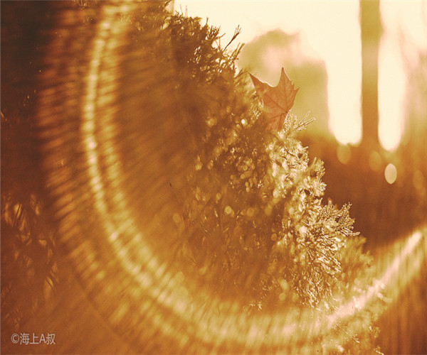 為什么大家喜歡在4月份裝修房子呢？