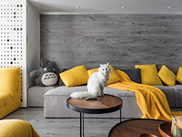 純干貨！家里有寵物的十個(gè)裝飾小建議