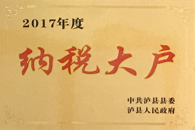 2017年度納稅大戶